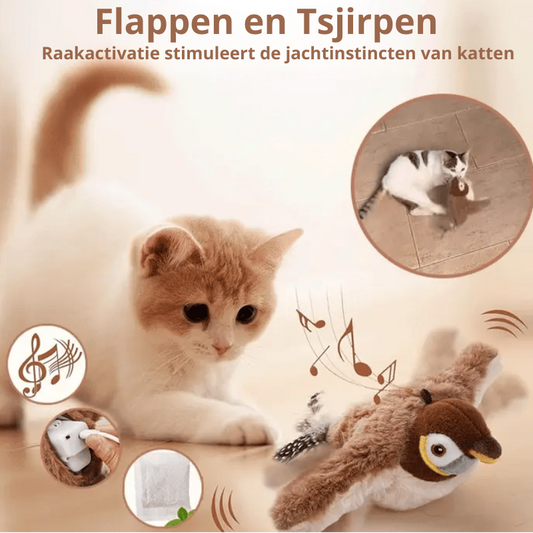 KittyKraze™ | Actieve Kattenspeelgoed
